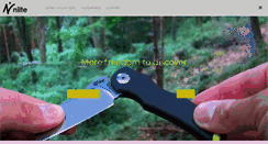 Desktop Screenshot of nilte.com
